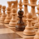 브레인 스포츠 체스 이미지