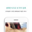 파이리코 이미지