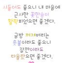 아줌마 특급지혜 56가지 이미지