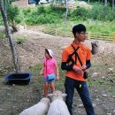 종은목장 3 이미지