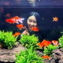 카페비 | 대전 대흥동 카페_수조관 카페 [비워터] 다녀온 솔직 후기