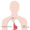 우주변화의 원리 강독 [05회] 오행의 질량변화 이미지