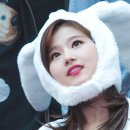 토끼사 이미지