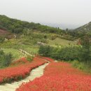 영인산수목원 티스토리