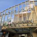 발안만세길 | [25.11.29.]팔탄 데이트코스 &#39;화성시 우리꽃식물원&#39; 11월 방문 후기