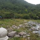 농월정야영장 이미지