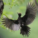 숲을향한시선 이미지