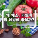 채소.과일 네이버블로그