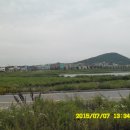 출판도시길 Daum카페