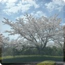 뉴웨이골프 이미지