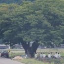 풍정 티스토리