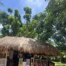 사갑목장 이미지