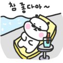 제주흑돈시백돈면