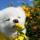 환승센터약국 이미지