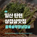 역전솥뚜껑삼겹살 | 일산 탄현 골목솥뚜껑삼겹살 후기 | 탄현 삼겹살 맛집