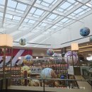 작은도서관무돌 | 팝마트 수원 스타필드 평일 방문후기 :)