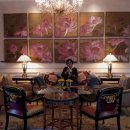 타지펠리스 이미지