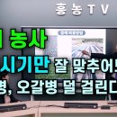 스마트종묘사 이미지