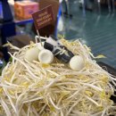 경기도 수원시 영통구 산남로4번길 2 이미지