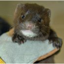 알마니농장 이미지