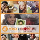 오펫 이미지