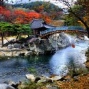 그곳에가고싶다 이미지