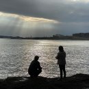 고사성어 유래＜241＞後悔莫及(후회막급) 이미지