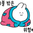 1급코리아모터스 이미지