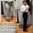유니클로 임산부 바지 워셔블 니트립 팬츠 후기 키작녀 착용핏