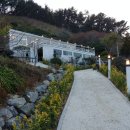 호정커피숍 이미지