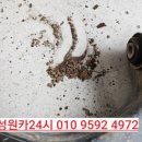 쌍용24시 카센타 이미지