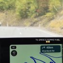 말뚝목장 | [신혼여행 #3.]와나카 라벤더팜/ Wānaka Willow Tree / Lake Hāwea/johnny's 인생 피쉬앤칩스