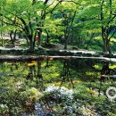 동천문화사