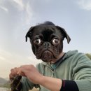 픽션하우스