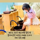 블루마운틴4255리조트 | 제주도 30주 태교여행 힐링 편 동쪽 블루마운틴 4255 카페와 도자기 커피 족욕 체험
