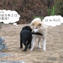 두아름농장 이미지