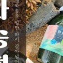 하늘맑은와송 이미지