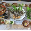 덕천강민물고기