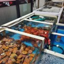 우리동네포차 이미지