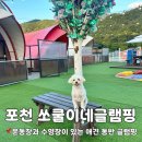 쏘쿨이네캠핑장 | [포천애견글램핑] 경기 근교 시설 좋고 수영장, 애견운동장 있는 포천 쏘쿨이네글램핑