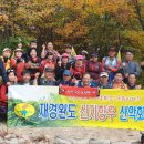 신지면-5 이미지