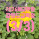 조산초 적은분교장 네이버블로그