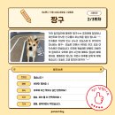 퍼시독 이미지