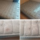 안녕강아지 | 성동구 금호동 매트리스 청소 완벽 후기 🛏️ 강아지 소변 침대 청소로 새것처럼! 내가제일깨끗해