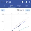 영아패션