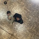 28w 임신후기 진입, 28주 배크기 및 소화불량, 가족행사로 바쁜 임산부