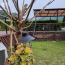 놀담 펜션 이미지