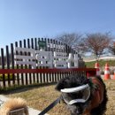 송이조각공원 화장실 이미지