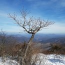 삼성 이재용 부회장의 최후 진술 전문 공개! 이미지