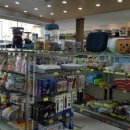 퍼스트독, 캣 이미지